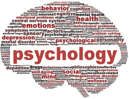 Psychology Degree Survival Tips: How to survive first year Psychology